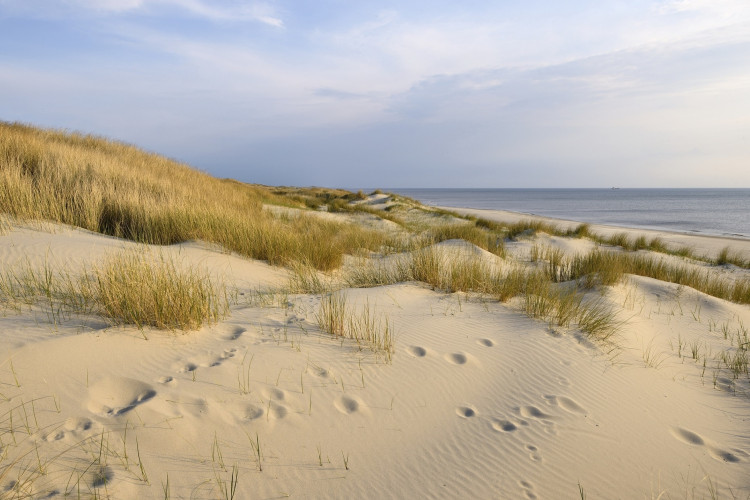 Duinen Noord-Holland zee helmgras landschap