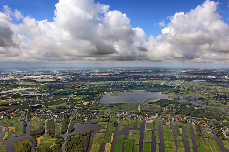 Amsterdam Wetlands