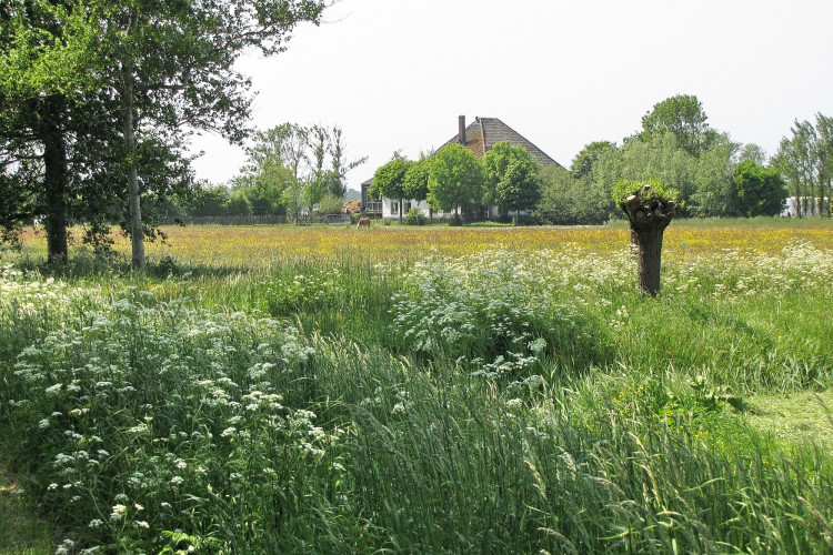 Buitengebied van de gemeente Heiloo / Henk van Bruggen