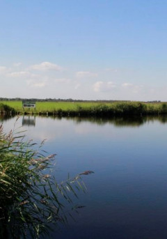 Amsterdam Wetlands - veenherstel Ilperveld