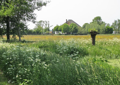 Buitengebied van de gemeente Heiloo / Henk van Bruggen