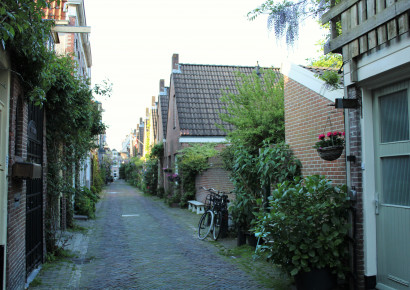 Alkmaar / Landschap Noord-Holland